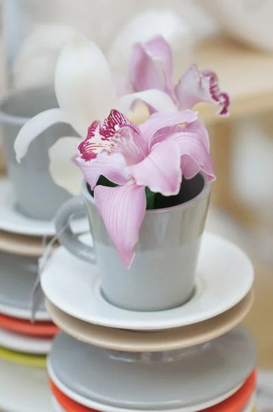 Вкусная розовая лилия в чашке — стоковое фото