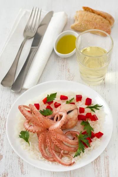 Boiled octopus with rice on the plate — Stock Photo, Image