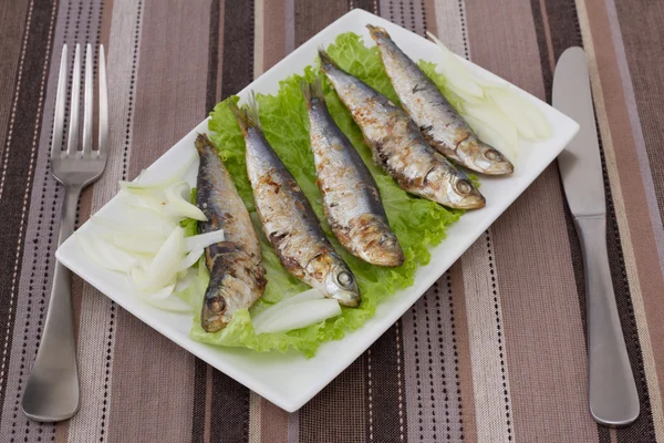 Sardines frites sur laitue — Photo
