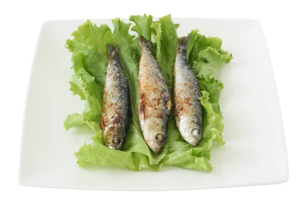 Fried sardines — Stock Photo, Image