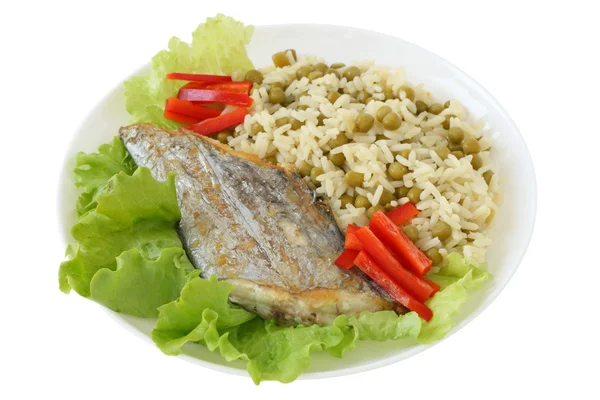 Жареная рыба с рисом — стоковое фото