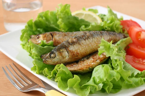 Gebratene Sardinen mit Salat — Stockfoto