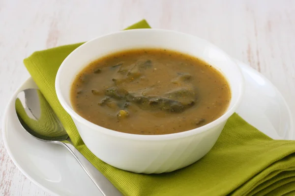 Spinazie soep in witte kom — Stockfoto