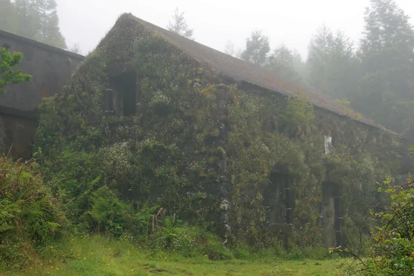 stock image House in fog