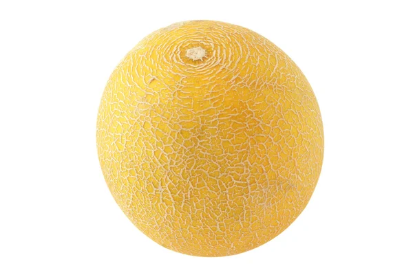 Liten gul melon – stockfoto