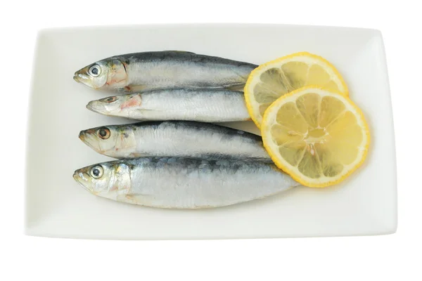 Fresh sardines on the plate — Stock Photo, Image