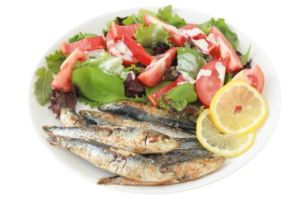 Smažené sardinky s citronem a salátem — Stock fotografie