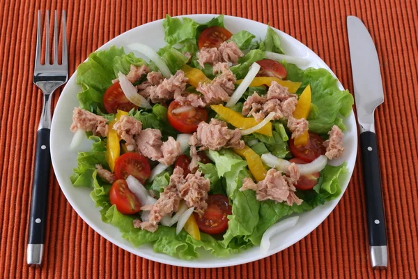 Salad with tuna Royalty Free Stock Photos