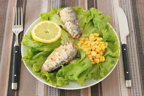 Hal saláta — Stock Fotó