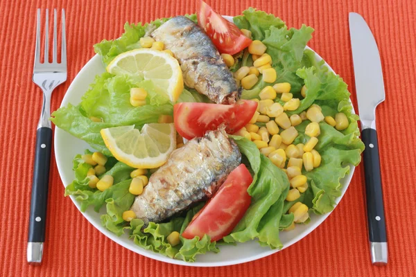 Salát s rybou — Stock fotografie