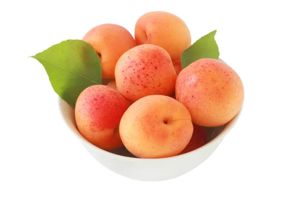Apricot in the bowl — Stock Photo, Image