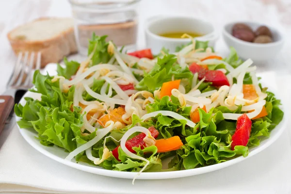 Stock image Salad with bean sprouts