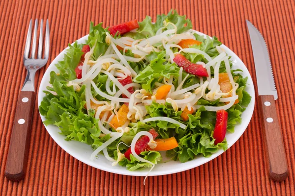 Salat mit Sojasprossen — Stockfoto