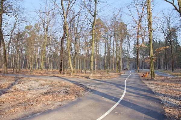 Chute dans la forêt - route de parc à Bucha, Ukraine — Photo