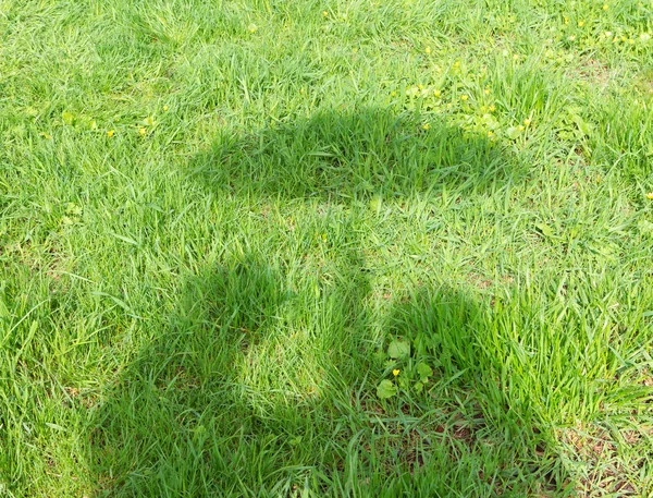 Mutlu çift çimen arka plan şemsiyesi altında — Stok fotoğraf