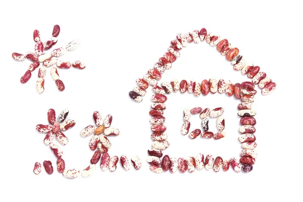 Haricot beans in the shape of a house and flowers on white — Stock Photo, Image