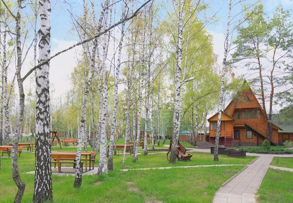 Dřevěný dům v lese na jaře, Ukrajina — Stock fotografie