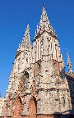 St. nicholas Katolik katedral kyiv