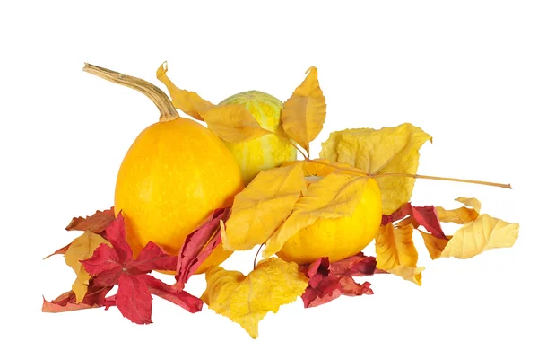 Oranje pompoenen met droge bladeren, geïsoleerd op witte achtergrond — Stockfoto