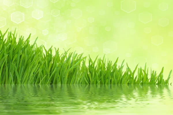 反射と光の抽象的な背景と緑の芝生 — ストック写真