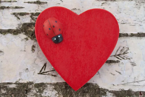 Herz mit Marienkäfer auf Birkenstamm Hintergrund — Stockfoto