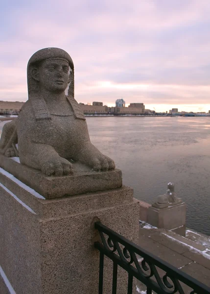 stock image Egyptian sphinx on quay of the Neva river. Saint-Petersburg, Rus