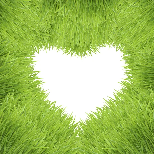 Grünes Gras Herz Rahmen isoliert auf weißem Hintergrund — Stockfoto