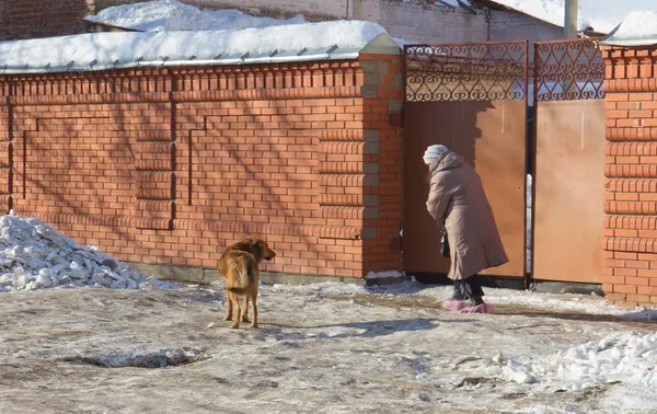 Старшая женщина и собака — стоковое фото