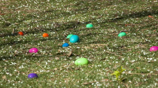 stock image Easter Egg Hunt