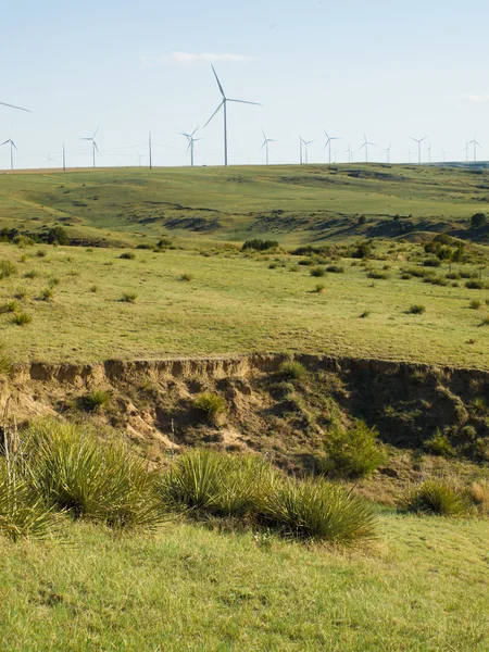 Ветряные турбины — стоковое фото