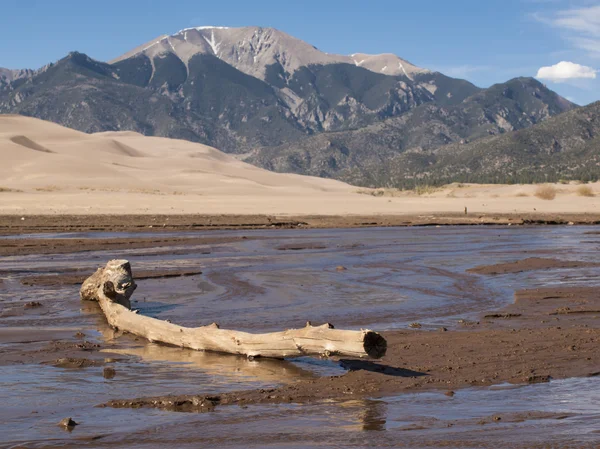 stock image Great Sand Dunes