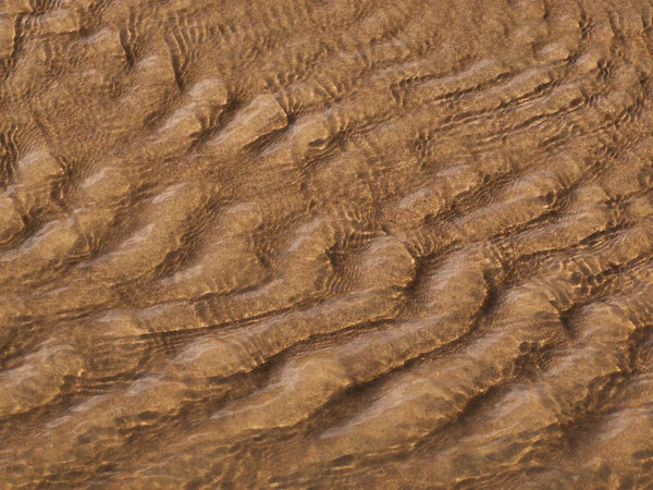 Velké písečné duny — Stock fotografie