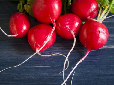 Radishes clipart