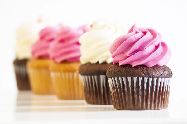 stock image Cupcakes