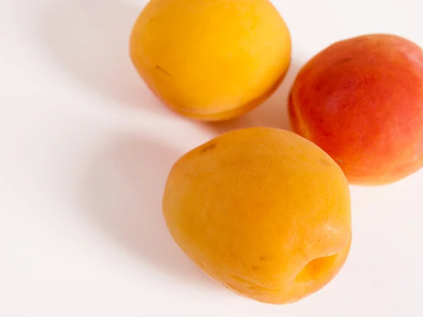 Stock image Apricot