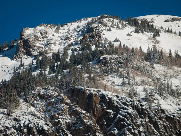 stock image Winter Wonderland