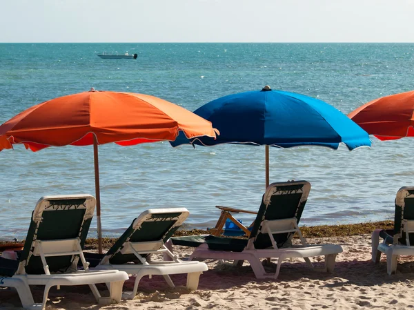 Beach Umbrella — Stock Photo, Image