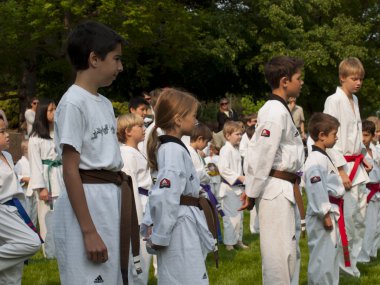 Taekwondo