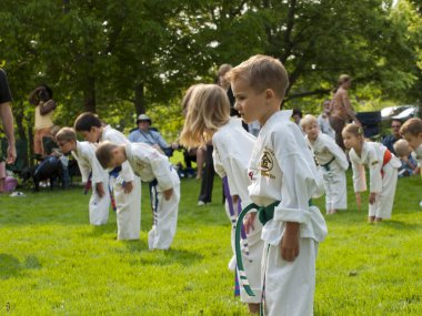 Taekwondo