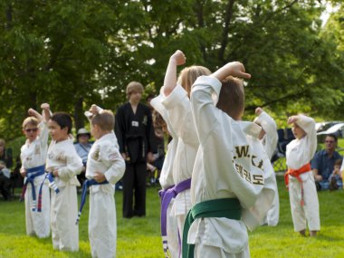 Taekwondo