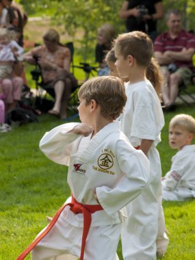 Taekwondo