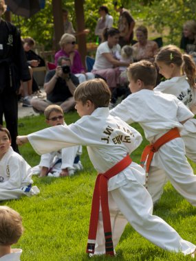 Taekwondo