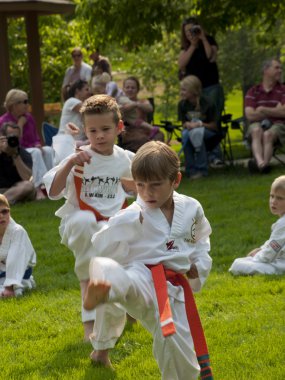 Taekwondo