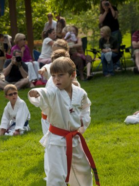 Taekwondo