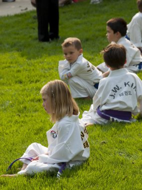 Taekwondo