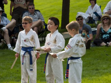 Taekwondo