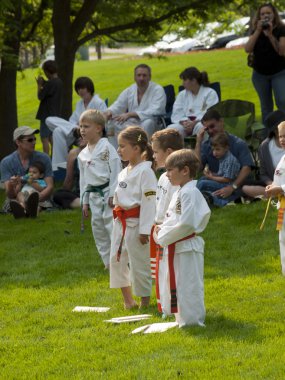 Taekwondo