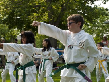 Taekwondo