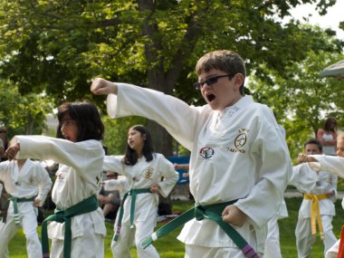 Taekwondo