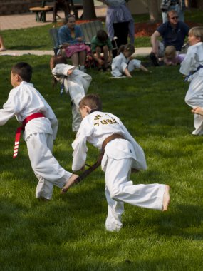 Taekwondo